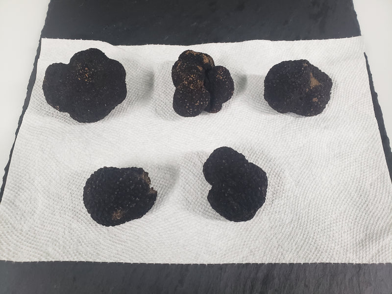 BLACK WINTER TRUFFLE (SPAIN)